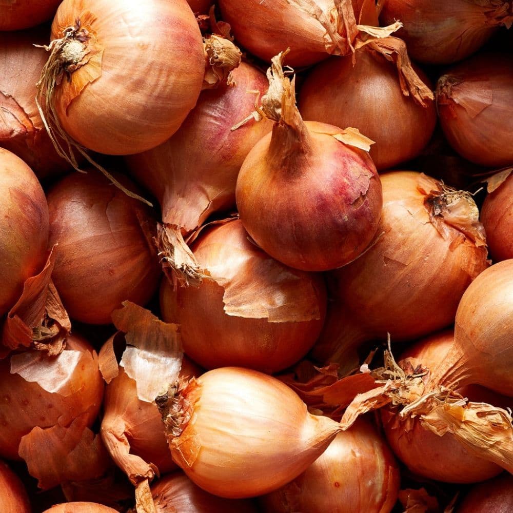 Pickle Shallots