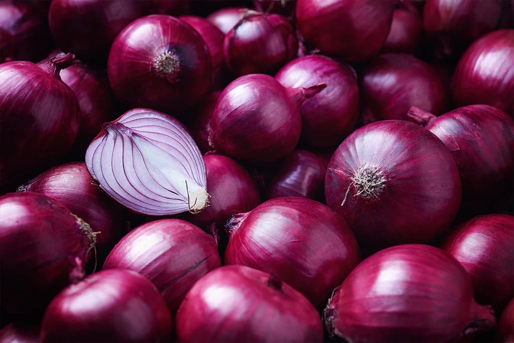 Red Onion 55mm
